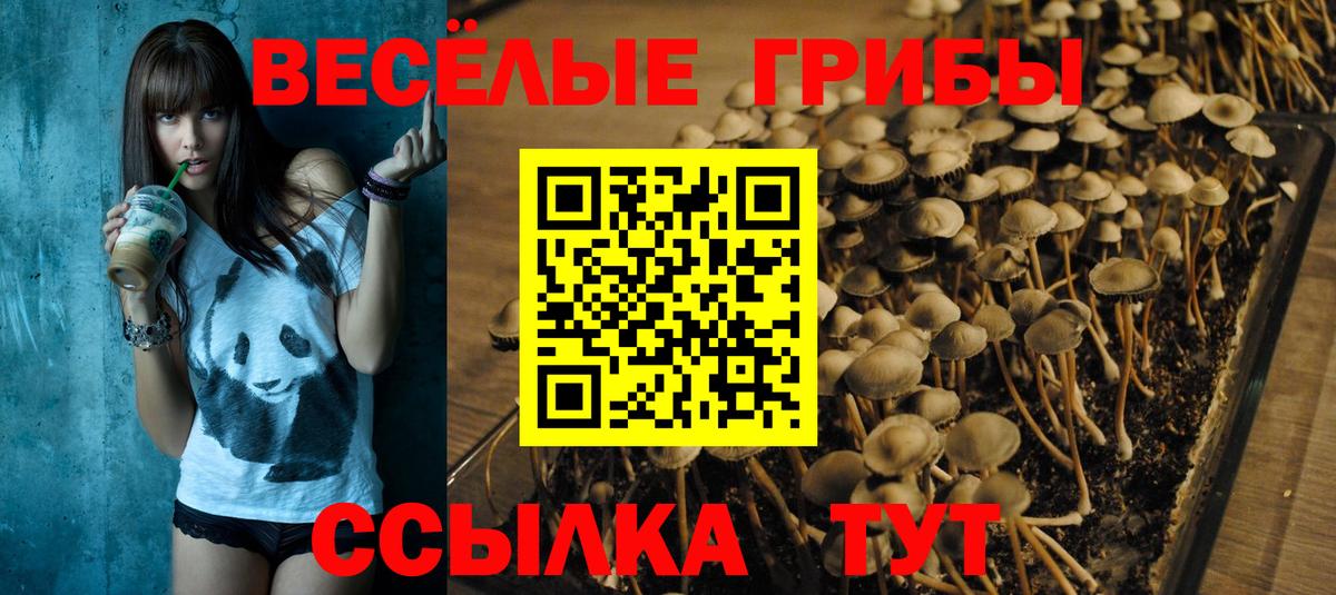Галлюциногенные грибы GOLDEN TEACHER  Вход с VPN  Бузулук 